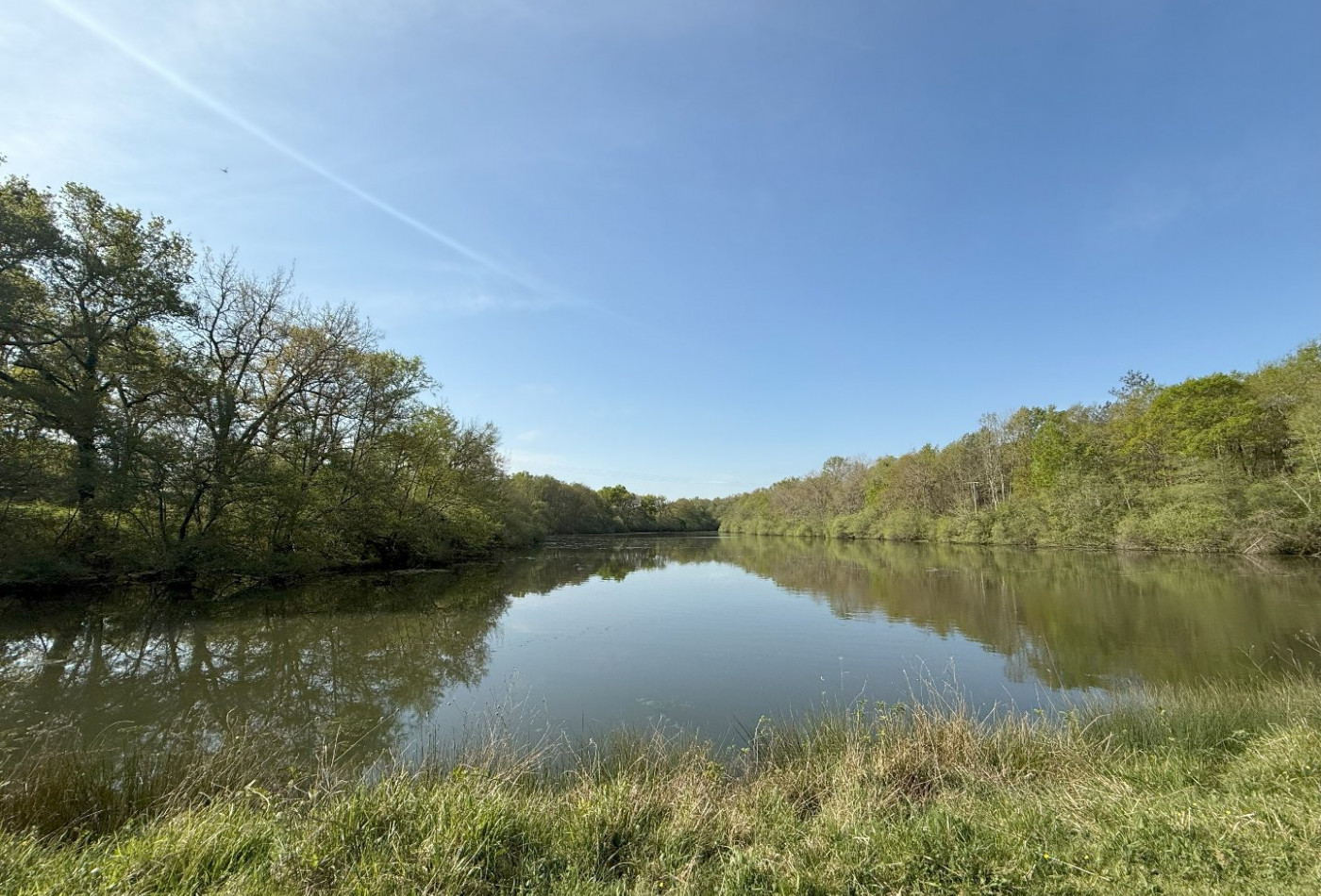 vente Domaine Montreal - Photo 2