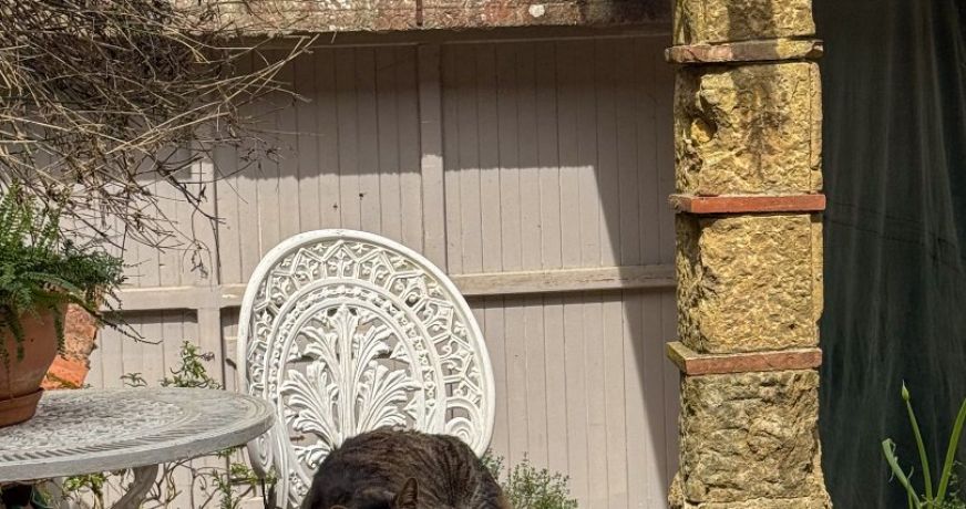 vente Maison de village Aignan