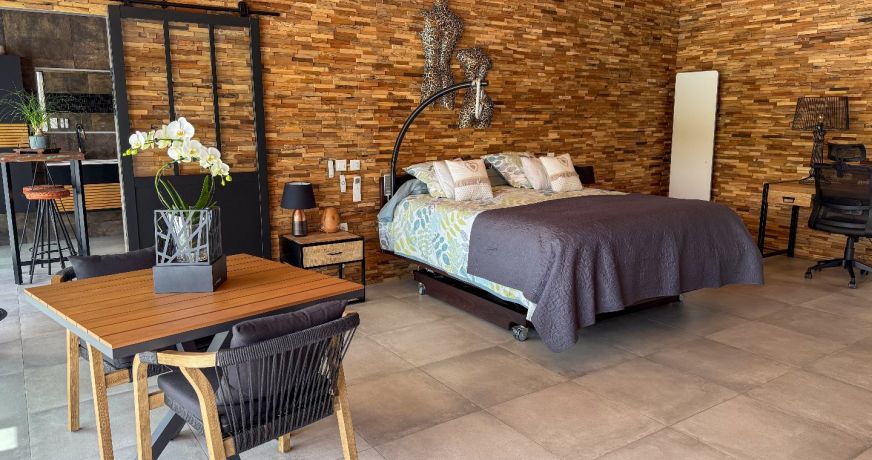 vente Maison contemporaine Fleurance