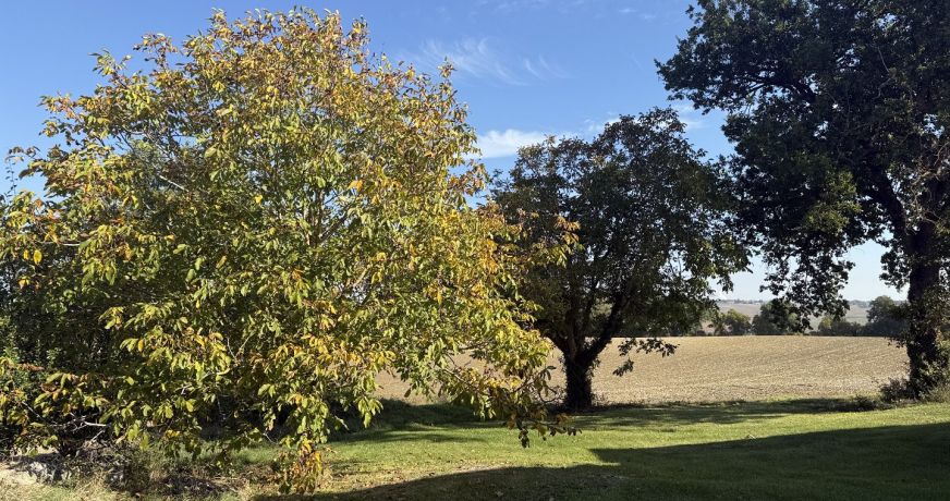 vente Maison de campagne Lectoure