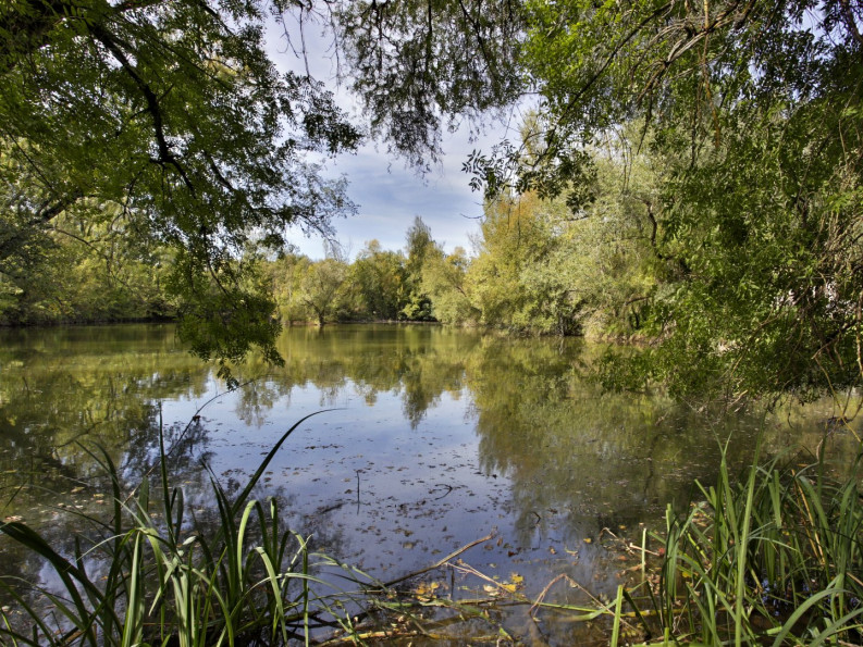 vente Maison Vic Fezensac - Photo 5