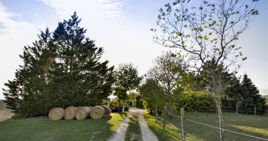 vente Maison Vic Fezensac