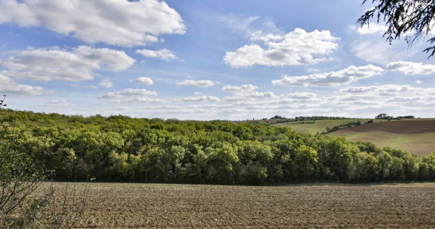 vente Maison Vic Fezensac