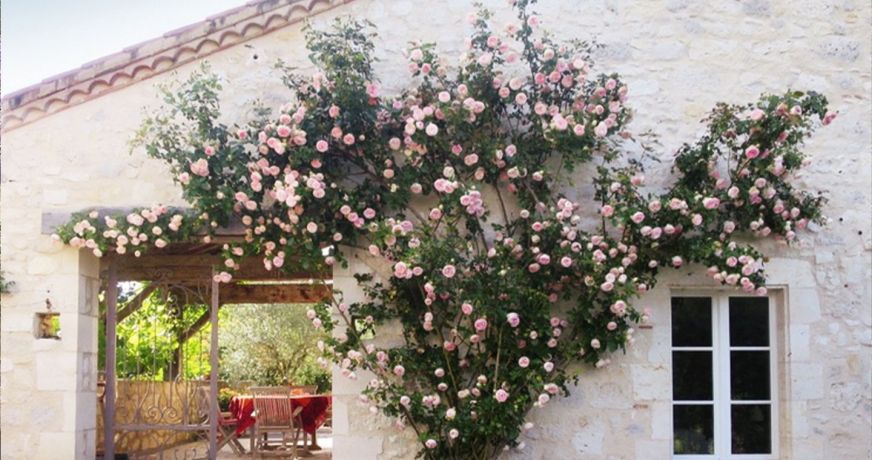 vente Maison de campagne Saint Mezard