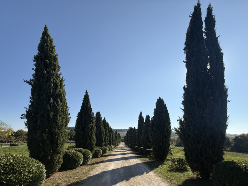 vente Demeure Vic Fezensac - Photo 3