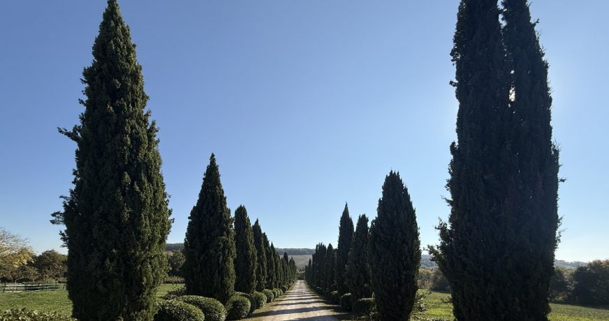 vente Demeure Vic Fezensac