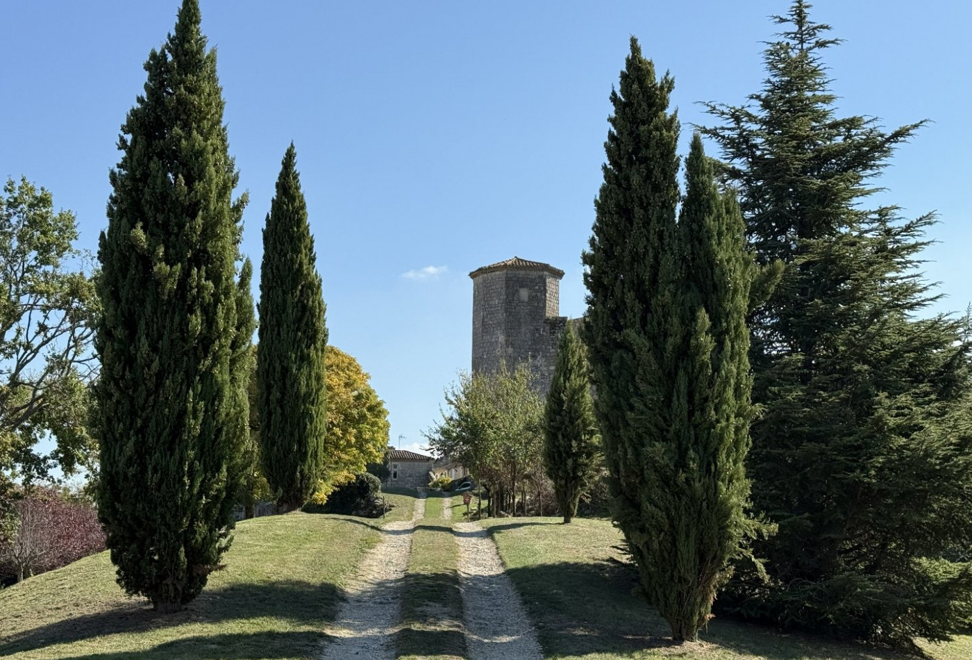vente Château Lectoure - Photo 3