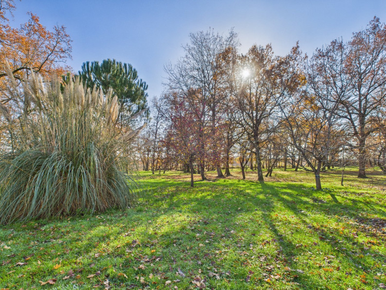 vente Domaine Condom - Photo 4