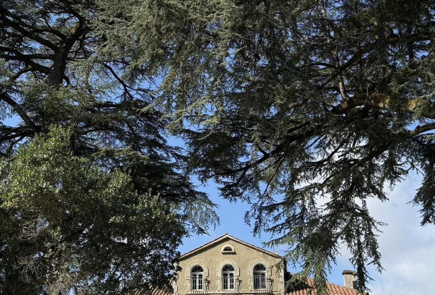 vente Maison bourgeoise Castelnau D'auzan - Photo 3