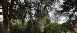 vente Maison bourgeoise Castelnau D'auzan