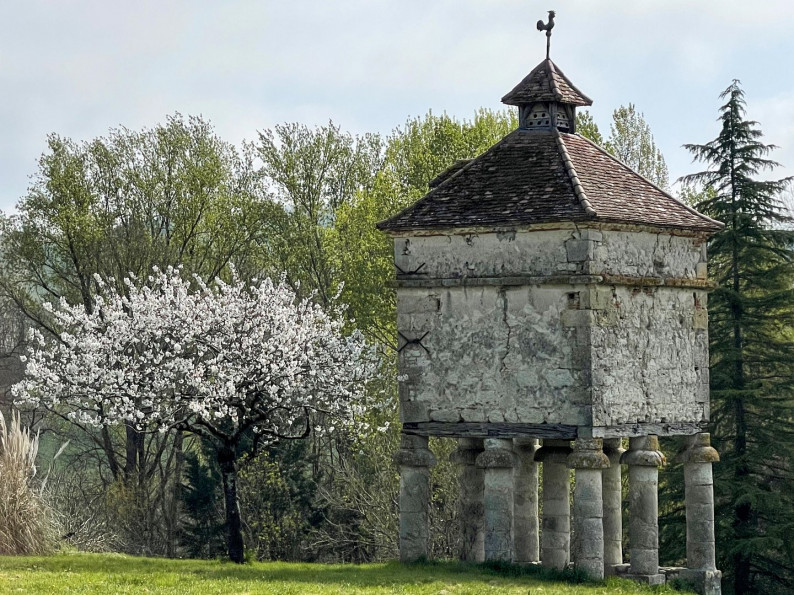 vente Domaine Astaffort - Photo 2