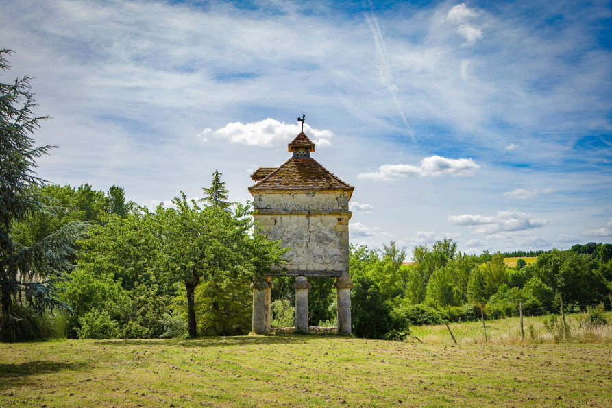 vente Domaine Astaffort - Photo 3