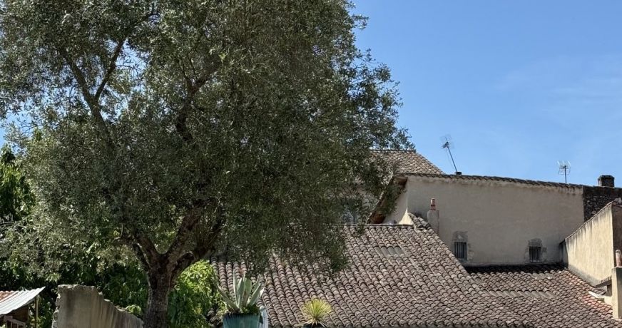vente Maison de ville Lectoure