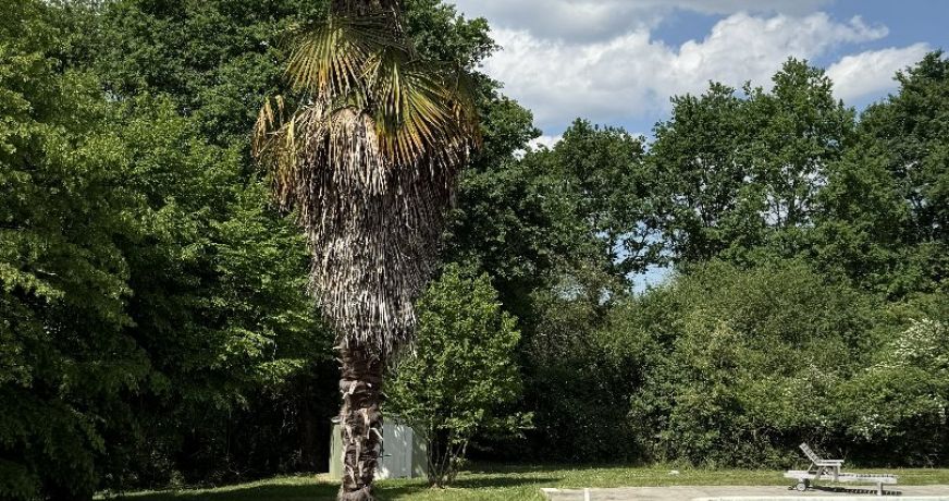 vente Maison de caractère Labarrere