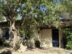 vente Maison de hameau Condom