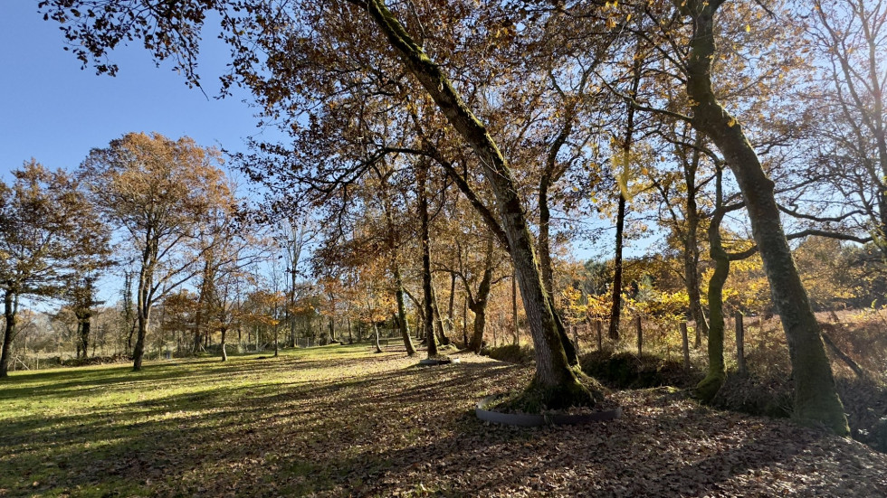 vente Bergerie Casteljaloux - Photo 8