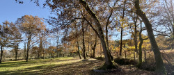 vente Bergerie Casteljaloux