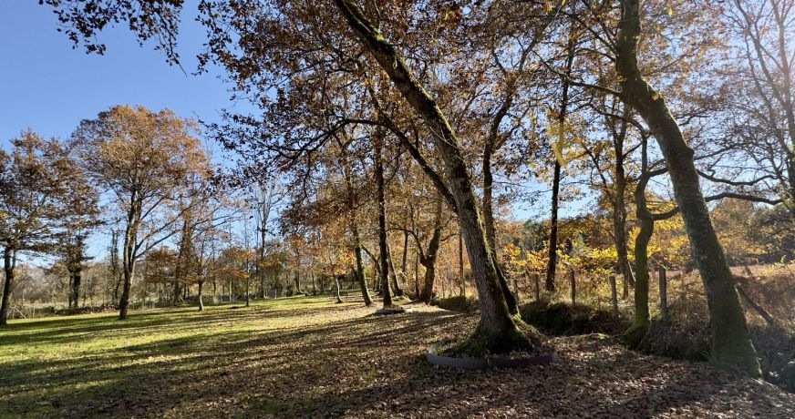 vente Bergerie Casteljaloux