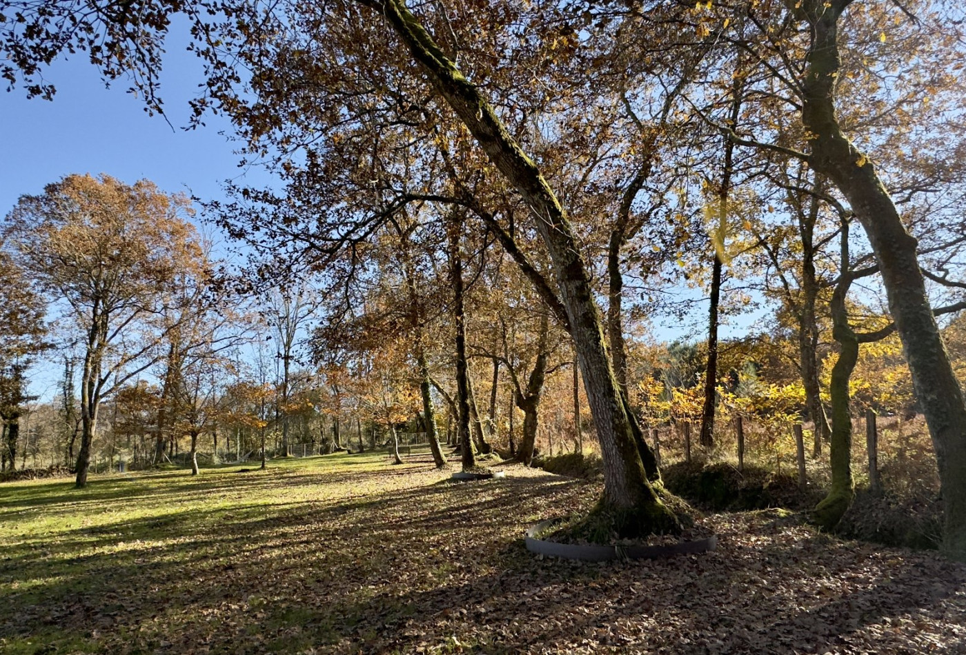 vente Bergerie Casteljaloux - Photo 8