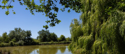 vente Ensemble immobilier Agen
