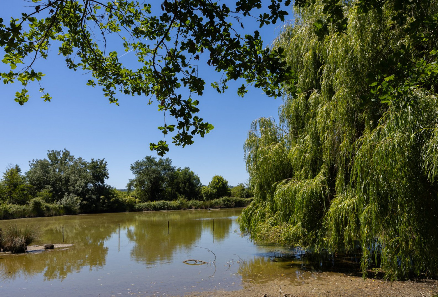 vente Ensemble immobilier Agen - Photo 4