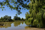 vente Ensemble immobilier Agen