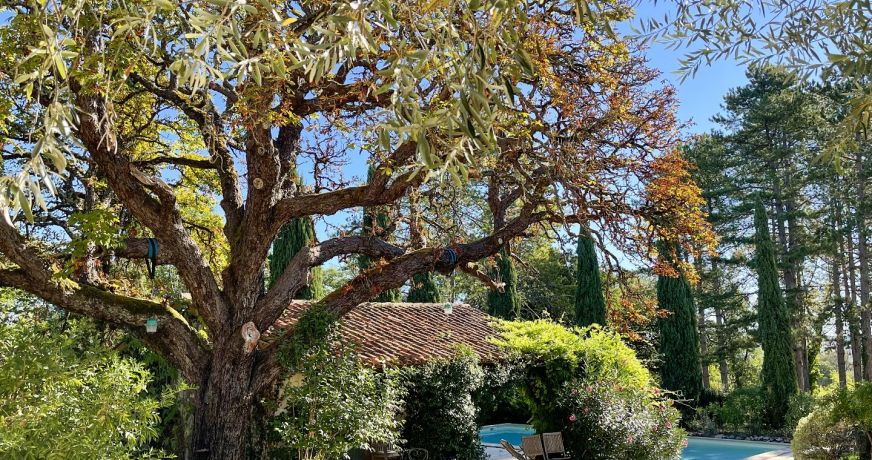 vente Maison Gondrin