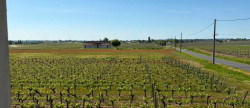 vente Maison Saint Emilion