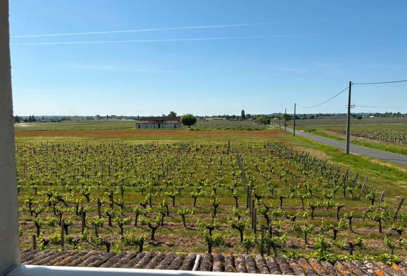 vente Maison Saint Emilion - Photo 10