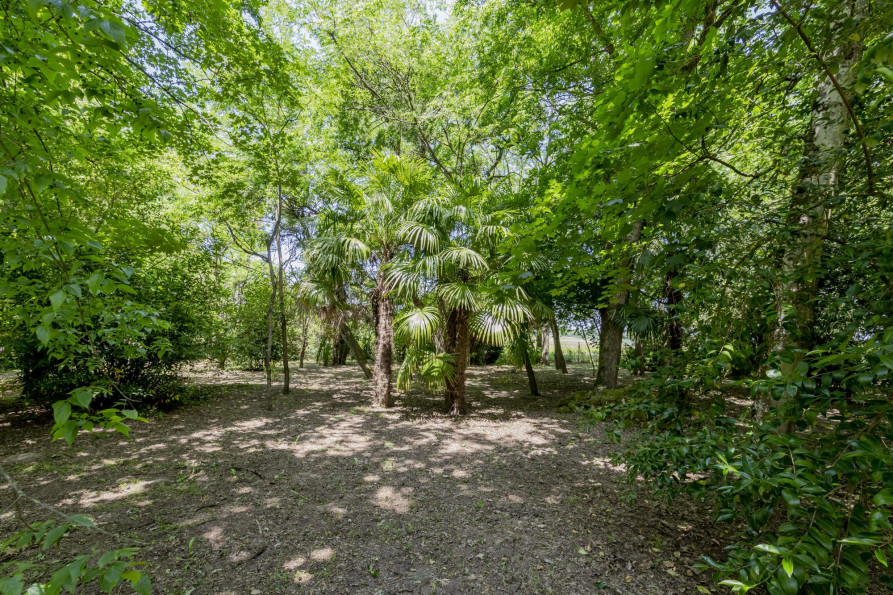 vente Château Saint-Émilion - Photo 8