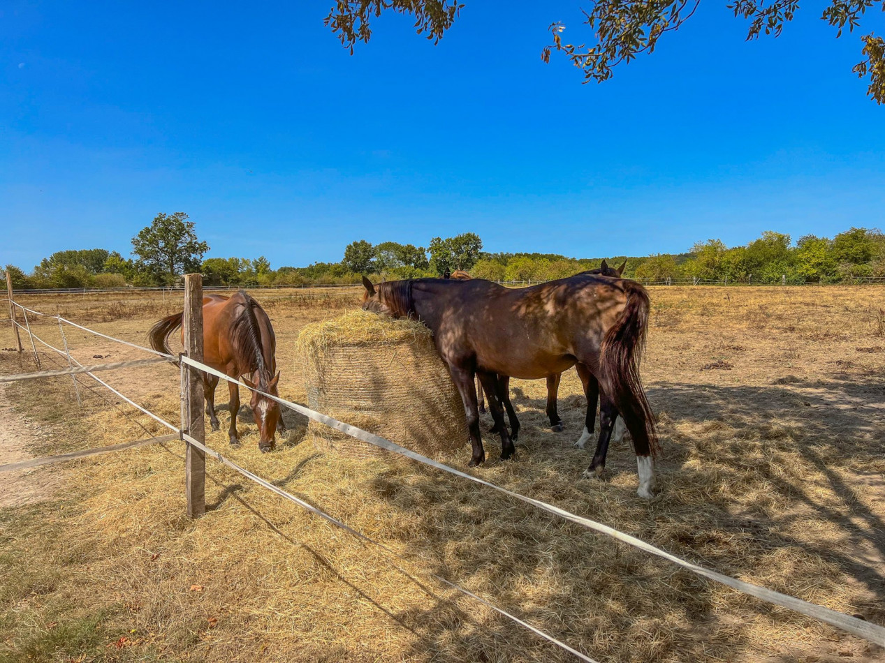 à vendre Immeuble Ménesplet - Photo 2