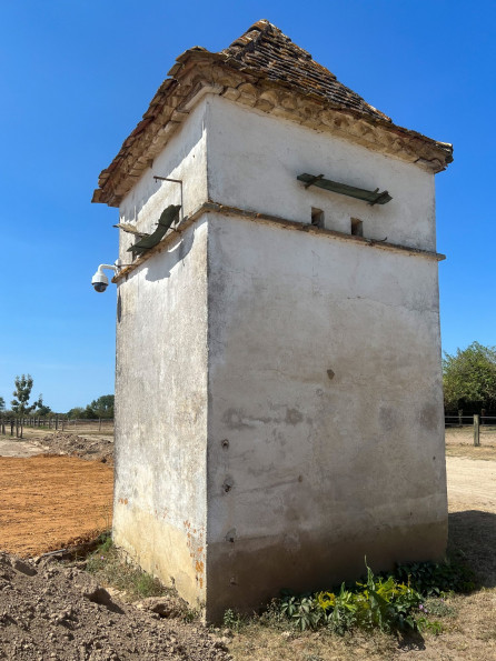 vente Immeuble Ménesplet - Photo 10