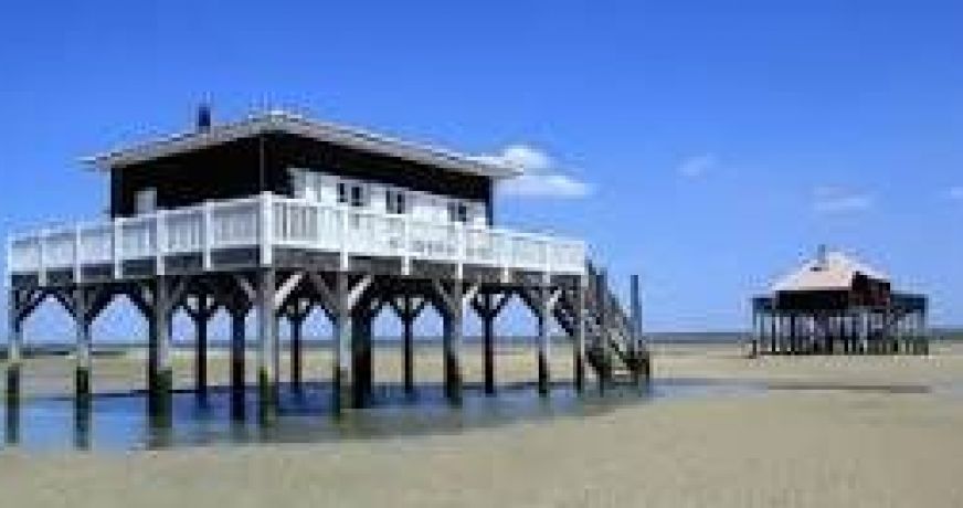 vente Appartement Lanton