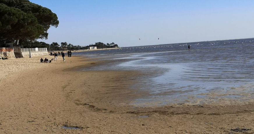 vente Appartement Lanton