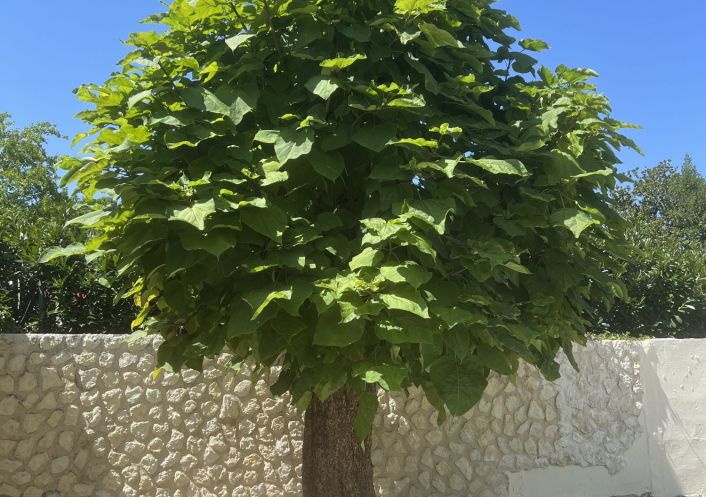 à vendre Maison Sainte-eulalie