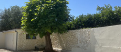 vente Maison Sainte-eulalie