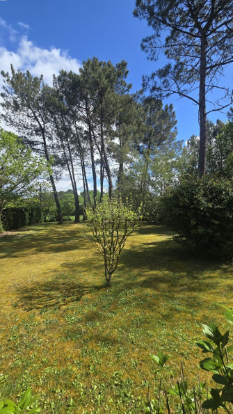 vente Maison Marcenais - Photo 5