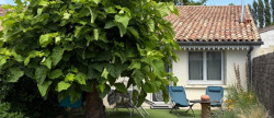 vente Maison Libourne