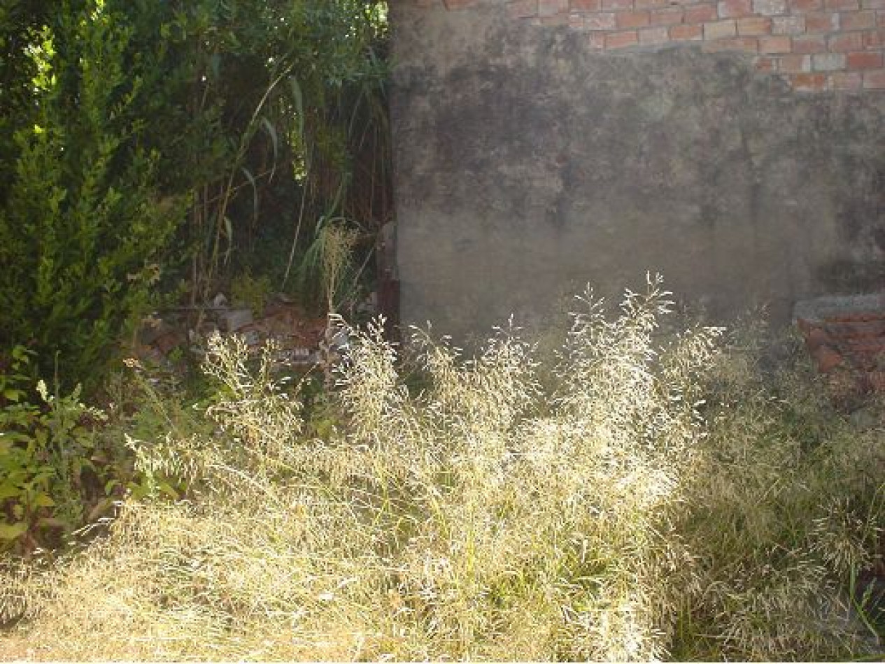 vente Maison de ville Beziers - Photo 4