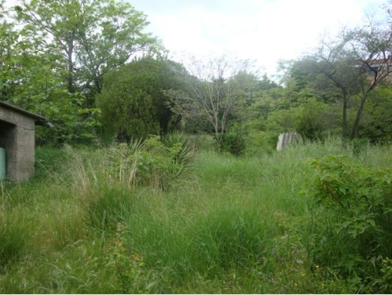 vente Maison Saint Genies De Fontedit - Photo 6