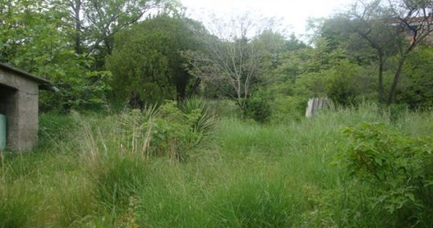 vente Maison Saint Genies De Fontedit