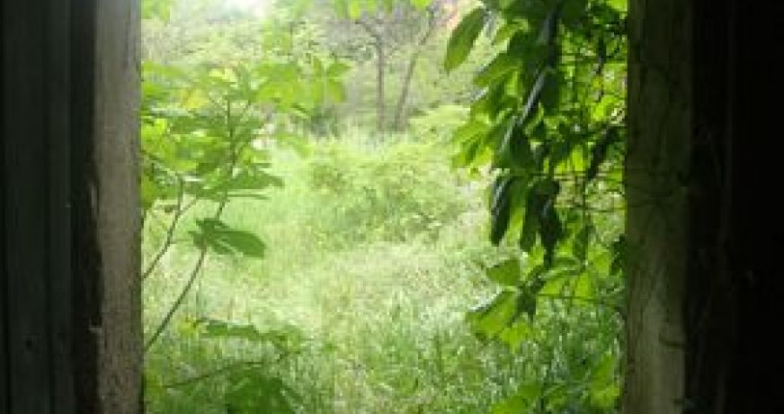 vente Maison Saint Genies De Fontedit