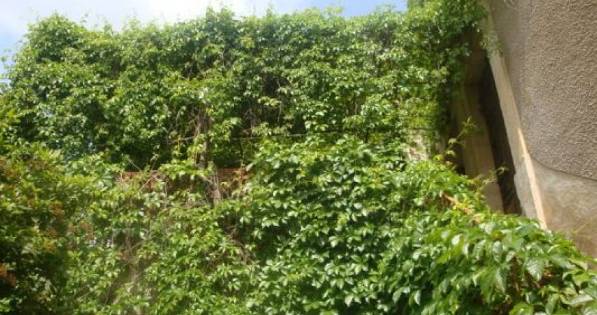 vente Maison Saint Genies De Fontedit