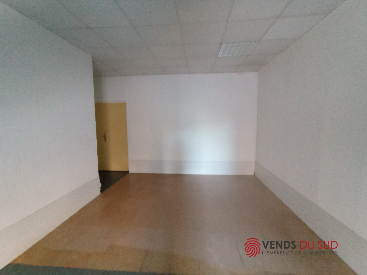 location Entrepots et bureaux Beziers - Photo 3