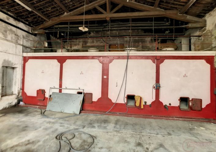 vente Immeuble Murviel Les Beziers