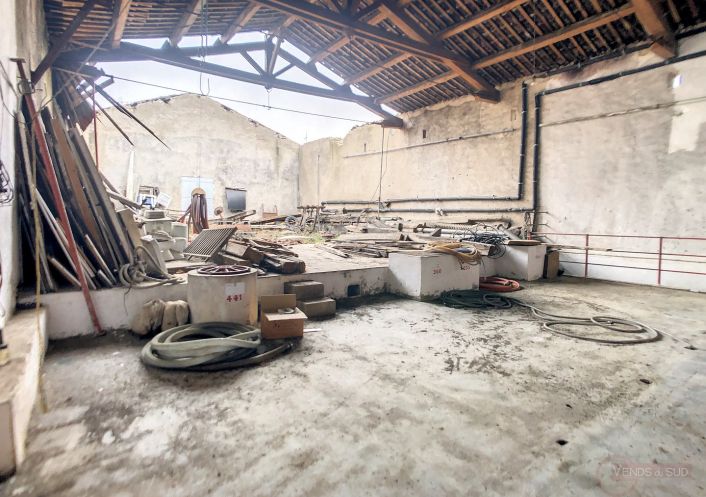 vente Immeuble Murviel Les Beziers