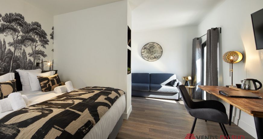 vente Maison de maître Agde