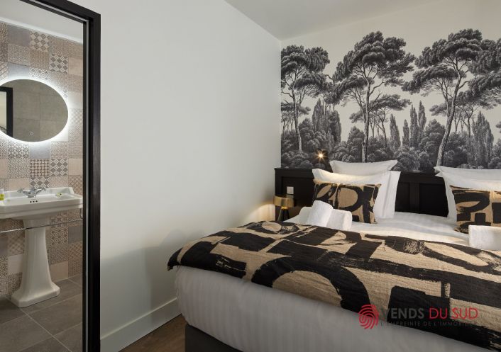 vente Maison de maître Agde