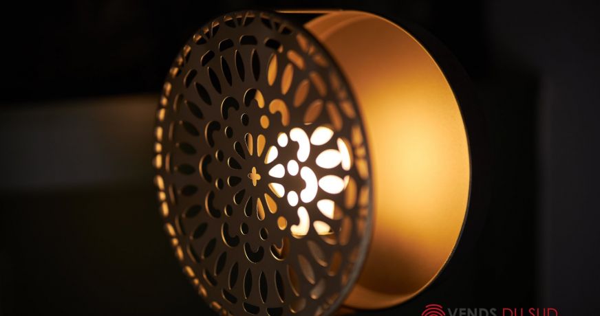 vente Maison de maître Agde