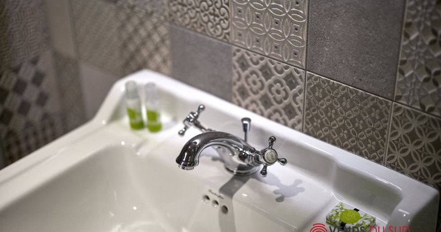 vente Maison de maître Agde